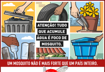 Conheça o comportamento do mosquito Aedes aegypti