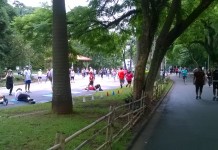 Preservar o verde é obrigação de todos!