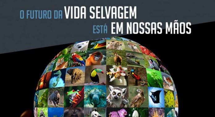 Dia Vida Selvagem