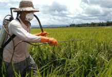 Ruralistas criam Comissão para acelerar liberação de agrotóxicos