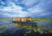 Atração no Pantanal: Passeio de barco