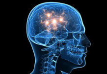 Mitos & Verdades sobre a Epilepsia