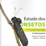 estudo dos insetos