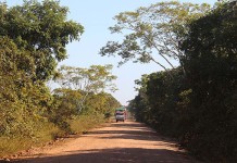 Atração no Pantanal: Safári fotográfico na Estrada do Parque
