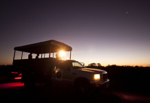Atração no Pantanal: Focagem noturna