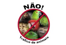 Máfia utiliza Facebook para tráfico de animais
