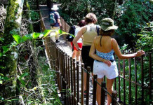 Conheça o Parque Estadual Morro do Diabo
