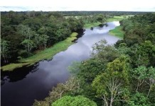 Manaus sediará workshop internacional para debater ecossistemas sustentáveis