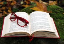 Literatura auxilia na busca de uma vida mais sustentável livro aberto, leitura