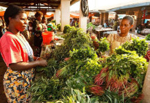Instituto Akatu promove ações sobre consumo consciente de alimentos