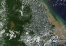 Descoberto grande recife de coral na foz do rio Amazonas