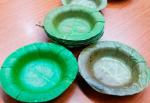 Indiano utiliza folhas para fazer pratos biodegradáveis