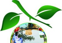 A sustentabilidade e a crise