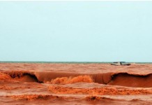 Retrospectiva: Desastre ambiental da Samarco completa seis meses