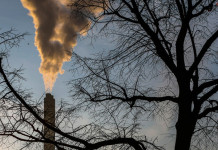 Unilever Brasil reduz em 36,09% emissão de gases de efeito estufa