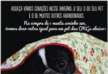 Ação do Bem: Compre uma mantinha para seu pet pela internet e outra será doada para animais abandonados