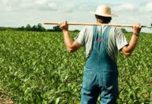 Brasil 2050: Episódio 7 – Agricultura