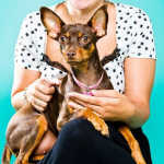 Ivy com dog edit