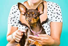 Nany, a cachorrinha do bem