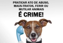 Projeto de lei cria a Delegacia Eletrônica de Proteção Animal (DEPA)