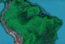 Amazônia: investimentos e direitos precisam caminhar juntos