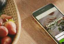 Conheça o FarmSquare – a conexão do alimento saudável