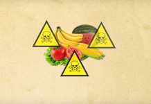 Vamos Falar sobre Soberania e Segurança Alimentar e Nutricional