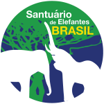 elefantes