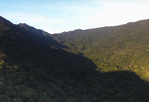 SOS Mata Atlântica lança documentário sobre o novo Código Florestal