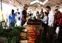 Parque da Água Branca recebe Festival de Gastronomia Orgânica