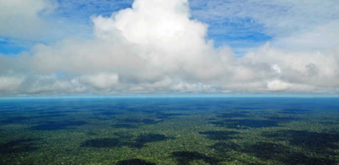 floresta-amazonica-amazonia-nuvens-natureza-1477317422605_615x300