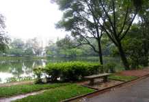 Domingo no parque… Compensa???