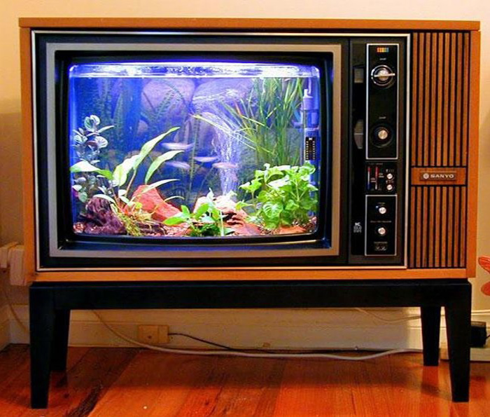 (Foto: Divulgação/ Aqua Hobby)