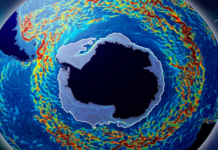 Artigo: Procura-se líder climático