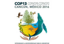 COP 13 encerra com resultados positivos
