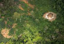 Indígenas isolados do povo Yanomami foram registrados em operação da Funai