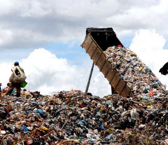 Paraíba lixão zero: entidades se unem e erradicam lixões em todo o estado