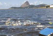 Documentários retratam a situação ambiental do Brasil