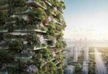 China terá primeira floresta vertical