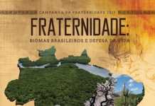 “Fraternidade: biomas brasileiros e a defesa da vida” é o tema da Campanha da CNBB