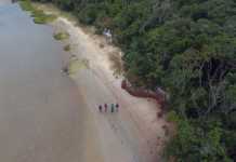 Animal Planet celebra a biodiversidade brasileira em Abril