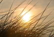 Janeiro já apresenta recordes de temperatura ao redor do mundo