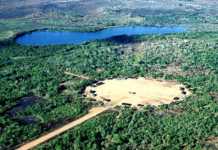 Parque Indígena do Xingu completa 56 anos