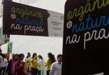A feira dos orgânicos