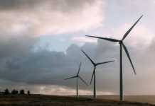 Austrália pode usar 100% de energia renovável até 2050 energy-2181904_1920
