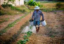 25 de maio é o Dia do Produtor Rural