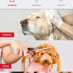 Pet booking
