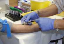 Hoje é Dia Nacional do Doador de Sangue