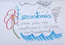 Vídeo: Ecossistemas – a chave para nos adaptarmos a um clima em transformação