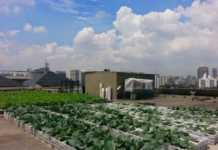 Shoppings investem em ações de sustentabilidade